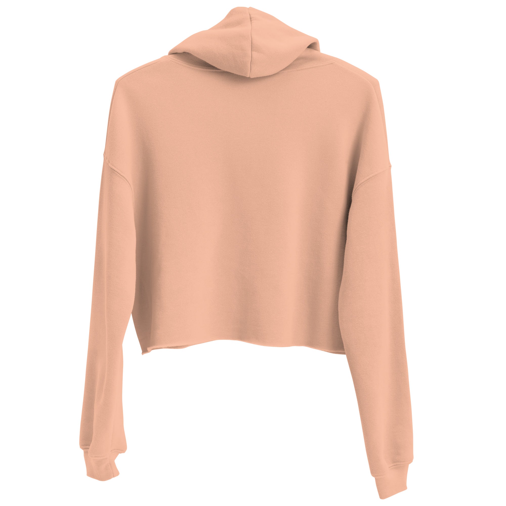 Taylor Swift Crop Hoodie
