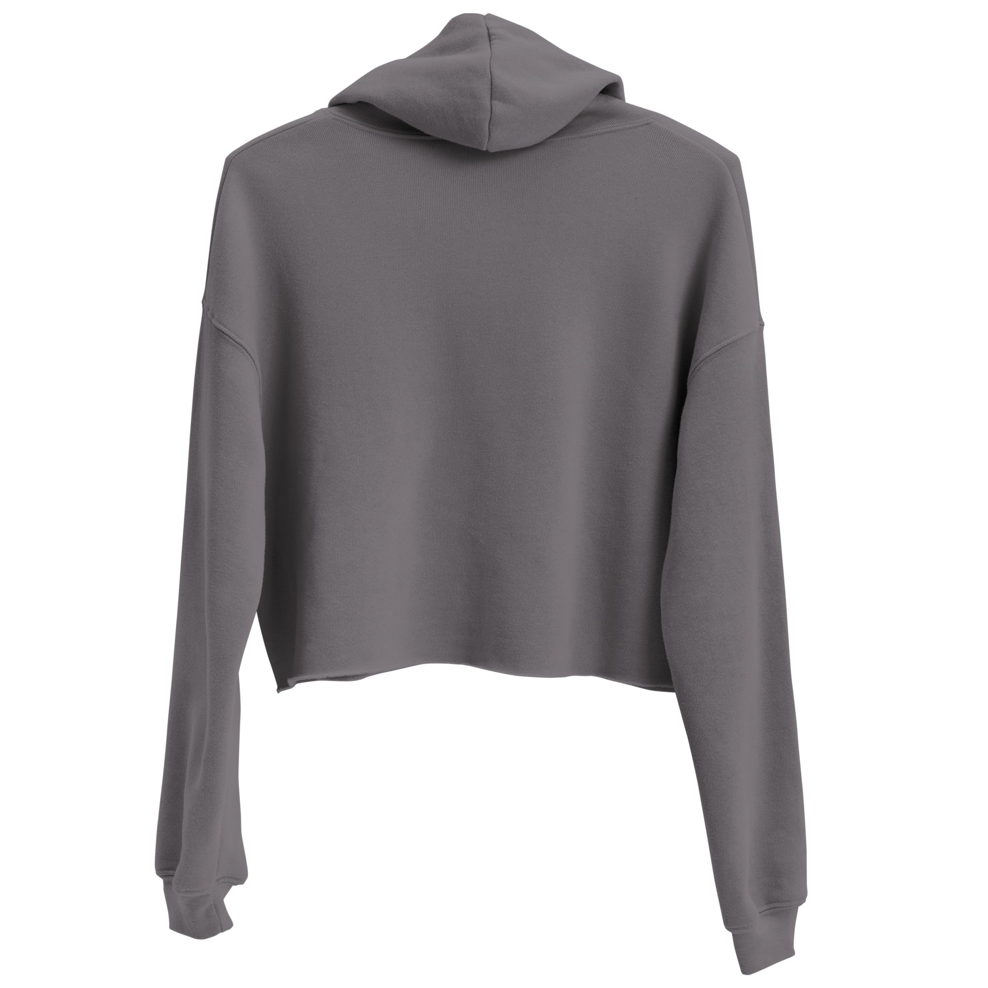 Taylor Swift Crop Hoodie