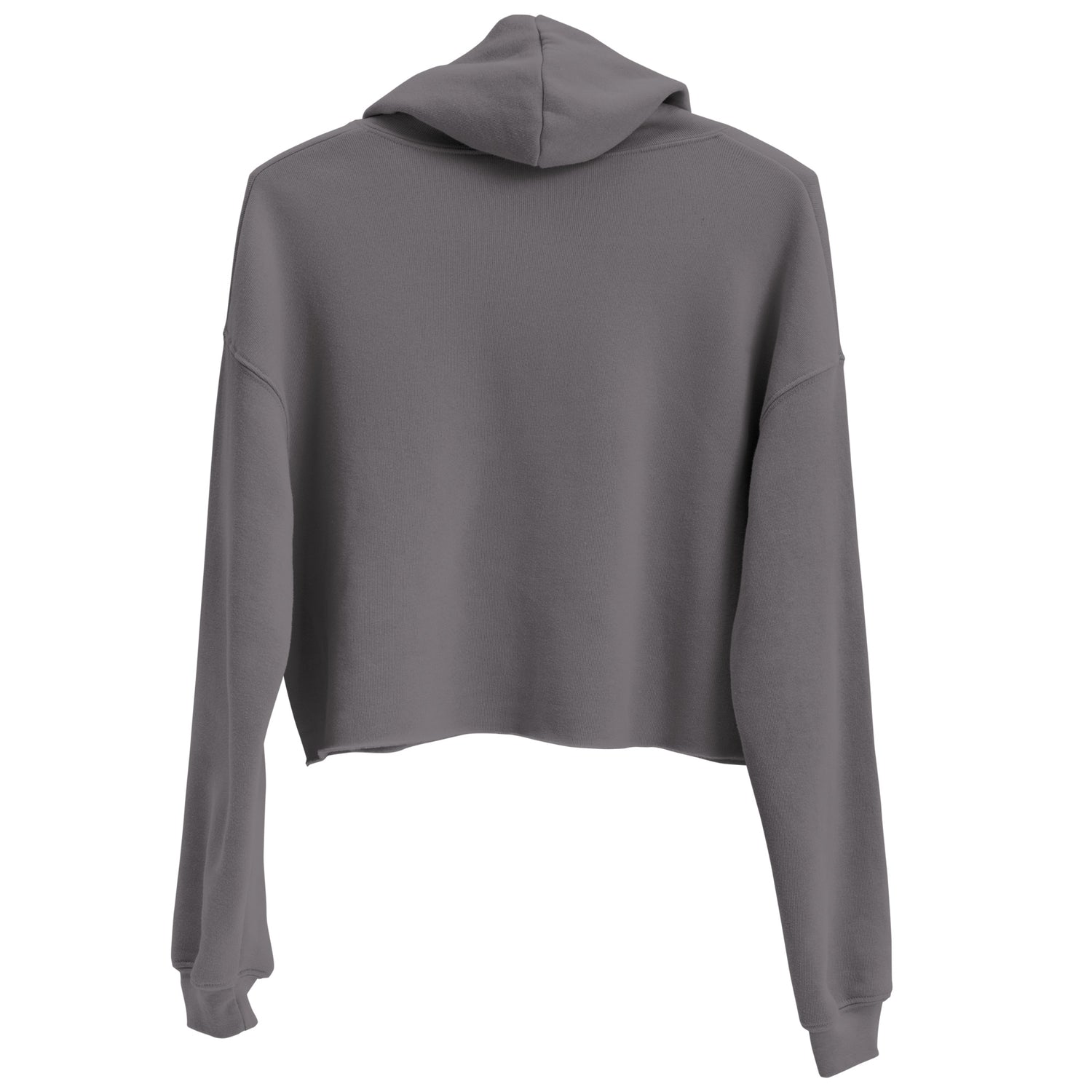 Taylor Swift Crop Hoodie
